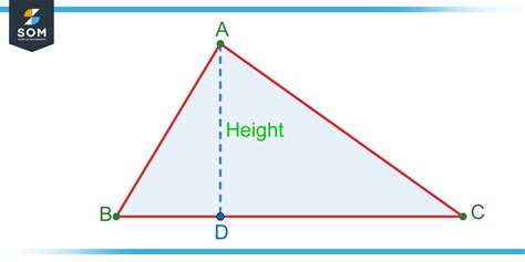dheights|Heights Definition & Meaning .